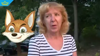 Лисици тормозят жители на столичен квартал повече от година, а институциите си прехвърлят отговорността (видео)