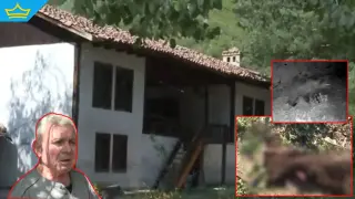 Мечка нахлува в женския манастир "Свети Спас" край Сопот и напада животните там (видео)