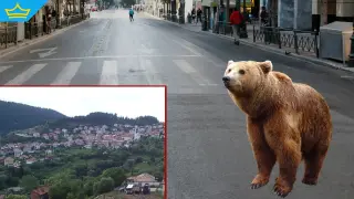 Мечка се разходи из улиците на Доспат