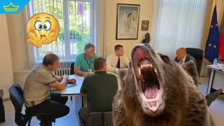 Мечка се появи и в Ловеч