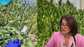 31-годишният син на прокурор Валентина Маджарова остава в ареста за 72 часа