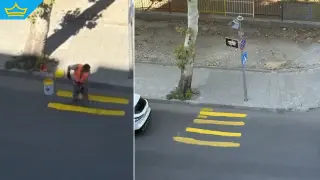 Пешеходна пътека „шедьовър“ разкраси булевард в Пловдив (видео)