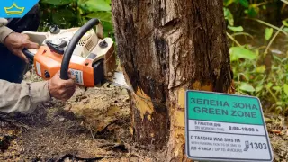 Жители на столичен квартал излязоха на протест срещу изсичането заради „зелена зона“