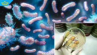 Учени създадоха лекарство от отпадъци с помощта на бактерии