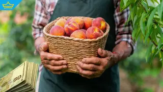 Земеделци с щети след априлските студове все още чакат помощ от държавата (видео)