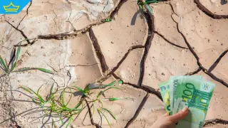 България ще иска помощ от Европейската комисия заради сушата