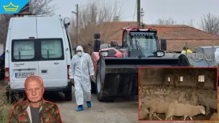 Овцевъди и козевъди подготвят протест заради шарката по животните (видео)