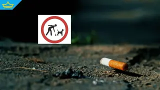 Град в Германия въвежда солени глоби за уриниране и боклук на улицата