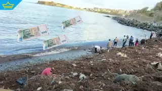 Морето край Царево изхвърли столевки