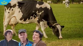 От години животновъд тормози жителите на благоевградско село (видео)