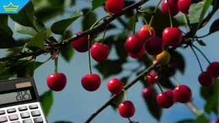 ЕК отпуска допълнителни средства за компенсации на българските земеделци