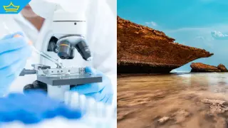 Червено море е пресъхнало напълно преди 6,2 милиона години, установиха учени