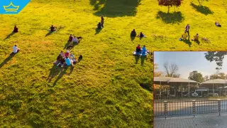 На мястото на незаконната автокъща в Борисовата градина няма да се строи отново... засега