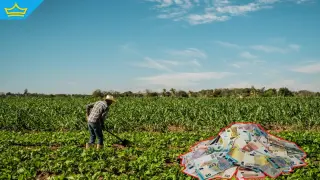 ЕК отпуска близо 8 млн. евро за българските земеделци