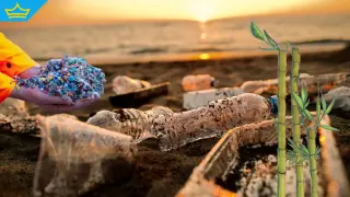 Учени създадоха биоразградима пластмаса от бамбук, равна по здравина на традиционната