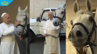 Папа Лъв XIV получи като подарък чистокръвен арабски жребец (видео)