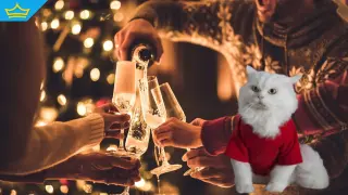 Ето колко ще ни струва посрещането на 2026 година във Велинград, Банско и Дубай