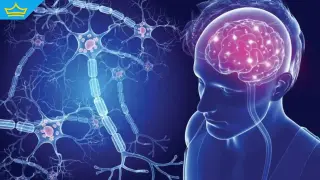 Американски учени обърнаха посоката на множествената склероза