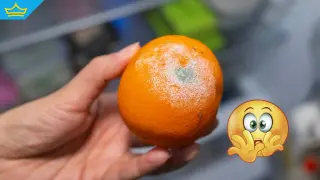 Годишно изхвърляме по 93 кг храна на човек