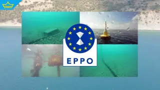 Европейската прокуратура откри „мидена ферма“ от пясък в Черно море