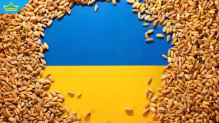 Украйна – „житницата на света“, която продължава да изхранва планетата въпреки войната