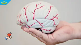 На световния ден за борба с инсулта: Навременната помощ спасява животи (видео)