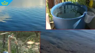 Жителите на поредно българско село са принудени да живеят без вода (видео)