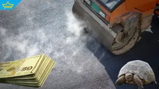 АПИ инвестира 1,5 млн. лева за пътна безопасност на диви животни