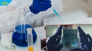 Изобретателка създаде таблетка за тоалетна, която помага за ранно диагностициране на бъбречни заболявания (видео)