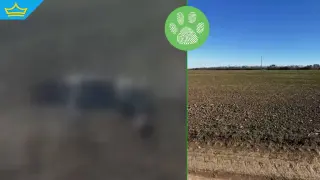 Масово убиват домашни любимци в Русенско, зоополицията пак е само на документи (видео)