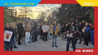 НА ЖИВО: Протест срещу агресията към животни (РЕПОРТАЖ)
