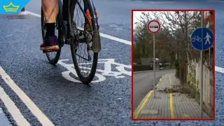 Велоалея с „екстри“: Знаци и стълб насред трасето, а общината не вижда нищо нередно (видео)