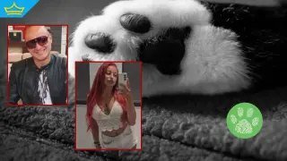 Садистите на животни от Перник получиха по три обвинения (видео)