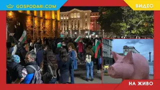 НА ЖИВО: Свобода за политическите затворници (РЕПОРТАЖ)