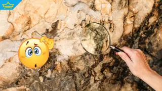 Учени откриха най-старите следи от живот: нов метод връща биологичната история 3,3 млрд. години назад