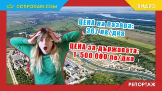 Държавата се опитва да си купи ливада край АЕЦ “Козлодуй” за десетки пъти по-висока от пазарната цена (РЕПОРТАЖ)