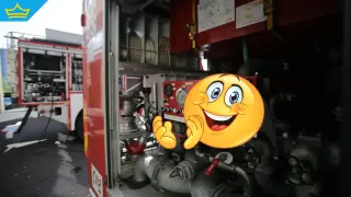 Полицаи и пожарникари рискуваха живота си, за да спасят животни от горяща къща в Бургас