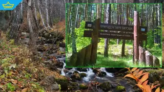 Новият план за управление на Витоша събра критики от всички страни