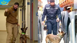 Запознайте се с Орка - първото куче в България, обучено да открива фалшиви банкноти (видео)