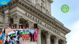 Комисия в НС ще разгледа петиция за забрана за отглеждане на телета в клетки