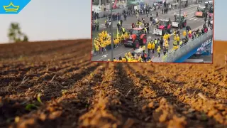 Продължават протестите на европейски земеделци срещу споразумението с Меркосур (видео)