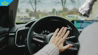 Заради неправилно паркиране 70-годишен нападна 19-годишна шофьорка