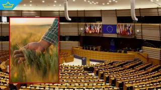 Съдът на ЕС ще решава бъдещето на спорното споразумение с Меркосур (видео)