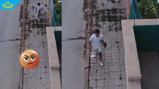 Осъдиха на пробация тийнейджъра, убил умишлено домашно коте в Севлиево