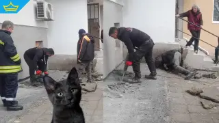 Спасиха коте, зазидано по време на саниране в Бургас (видео)