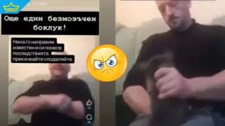 Докога без последствия? Насилието над животни пак е „съдържание“ (видео)