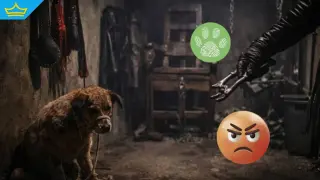 Кожени костюми и уреди за мъчения: Разкриха „студио“ за изтезаване на животни, задържани са мъж и жена