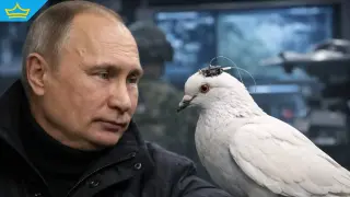 Гълъби с чип в мозъка: Русия произвежда птици-камикадзе