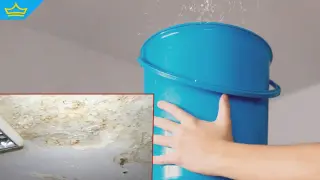 Течащ покрив на детска ясла в Пловдив притесни родители (видео)