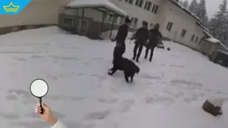 Момичето, пребивавало няколко дни с Ивайло Калушев и другите жертви, е установено